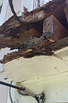 Rotted fascia board and soffit